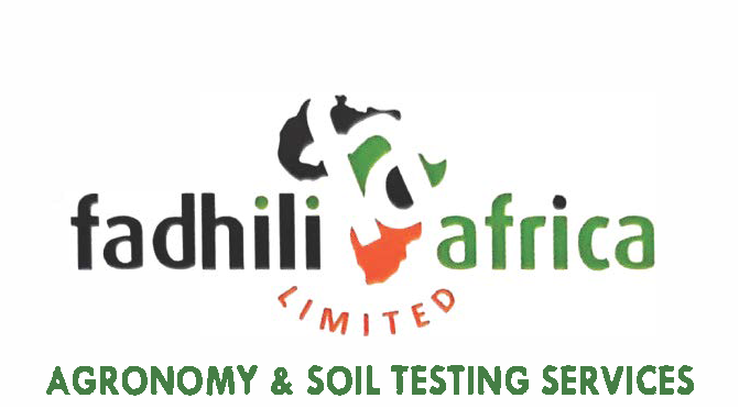 Fadhili Africa logo