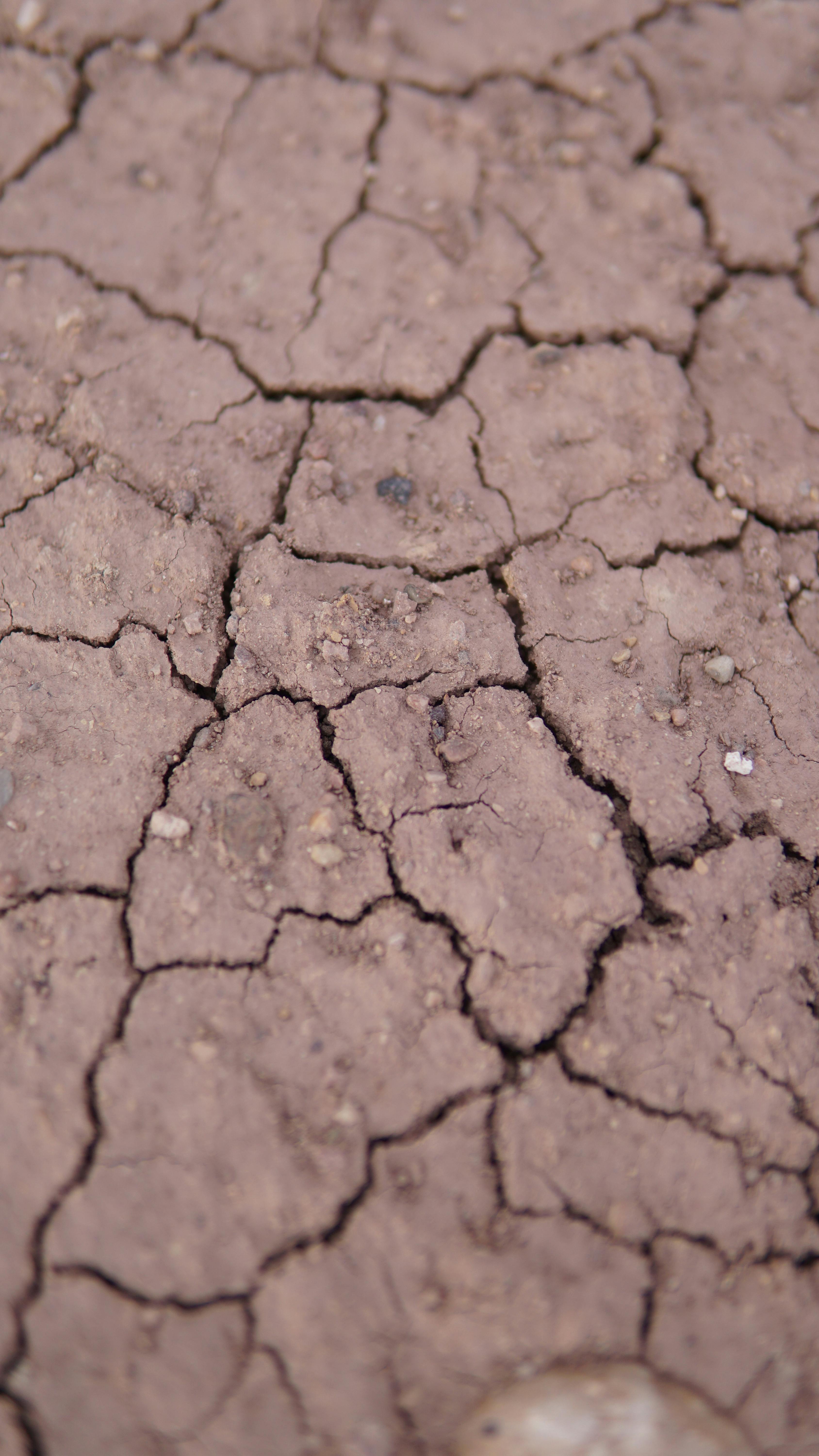 Soil Moisture Monitoring