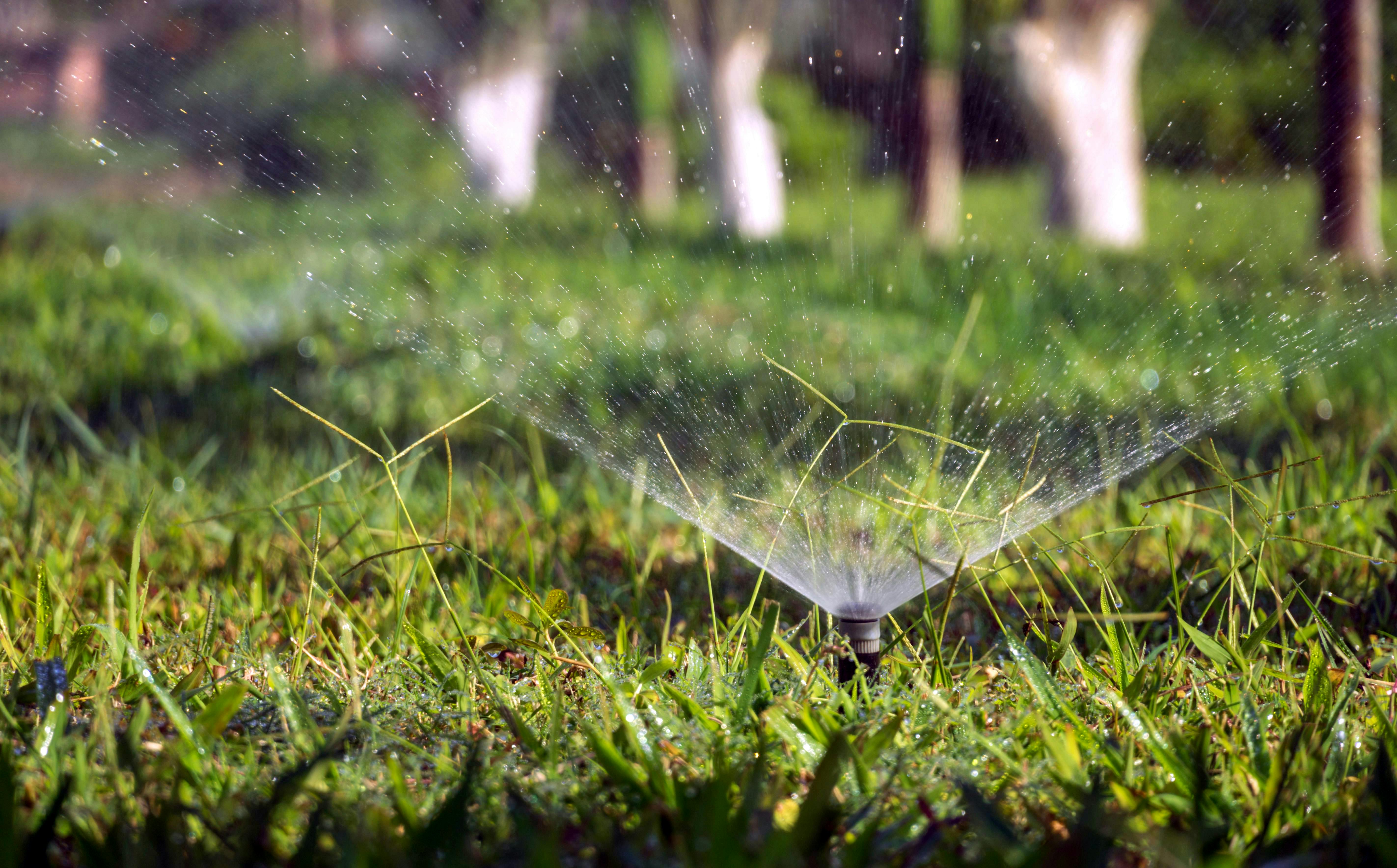 Sprinkler Irrigation